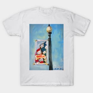 Banners of Franklin - Summer T-Shirt